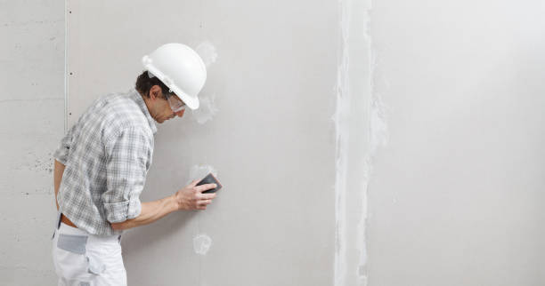 Best Environmental Consulting for Mold Prevention  in Heber Springs, AR