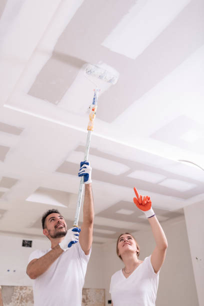 Best Mold Damage Restoration  in Heber Springs, AR