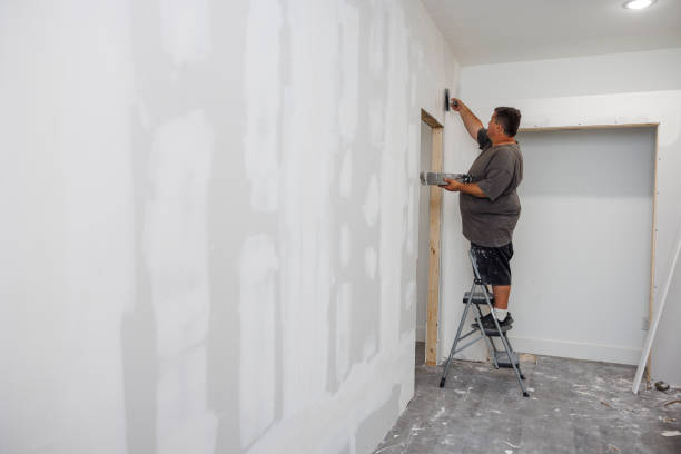 Best Black Mold Removal  in Heber Springs, AR