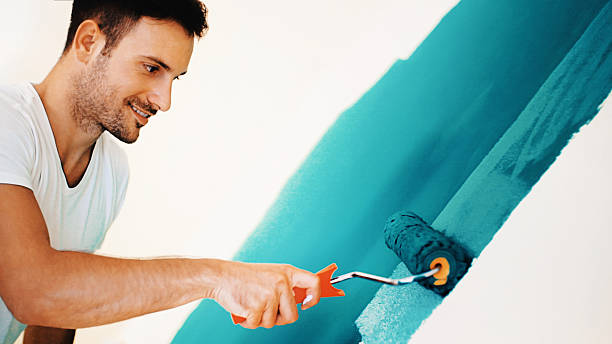 Professional Mold Removal in Heber Springs, AR