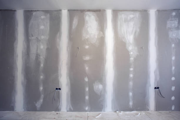 Best Attic Mold Removal  in Heber Springs, AR